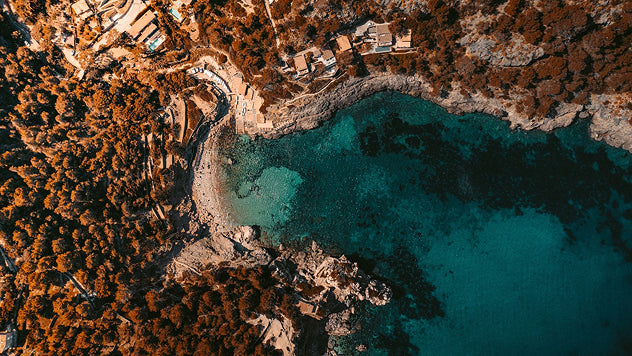 VanDutch Center BALEARICS